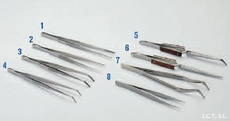 Pinzas de precisión - Pinzas - Disección - Inox - Muestreo - Equipo de  laboratorio